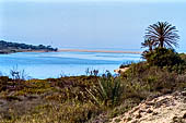 La riserva naturale di Souss-Massa - Marocco meridionale.